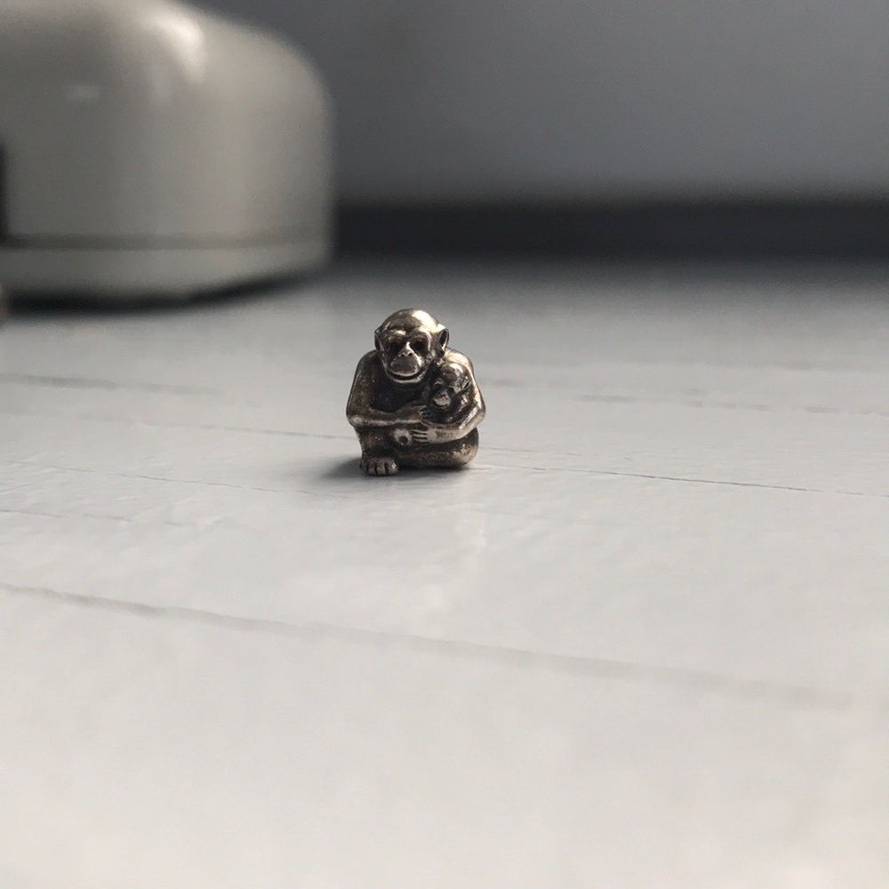 Pandora charm